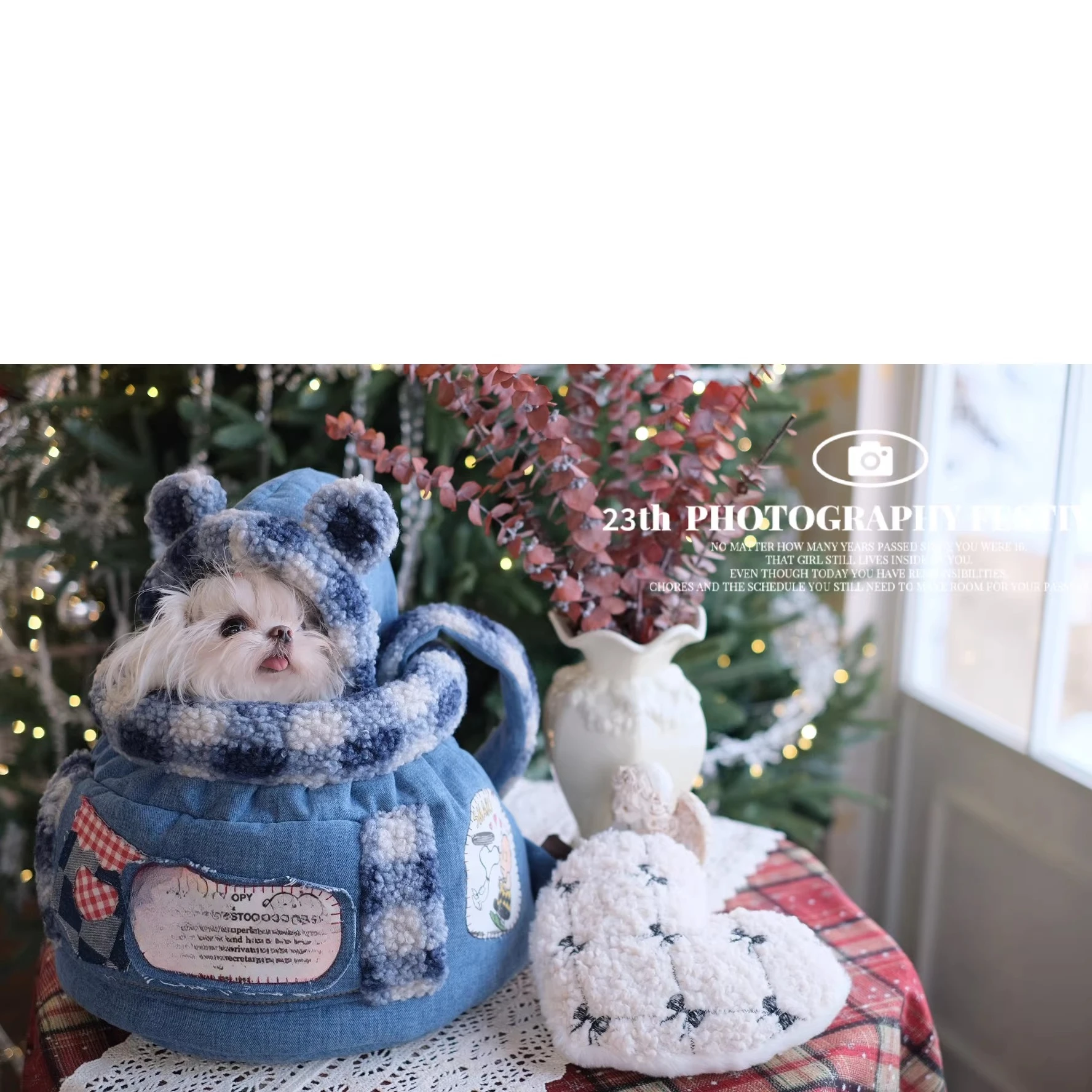 26 Luxury Winter Pet Carrier D - đánh giá và giá Luxury Bags Edit