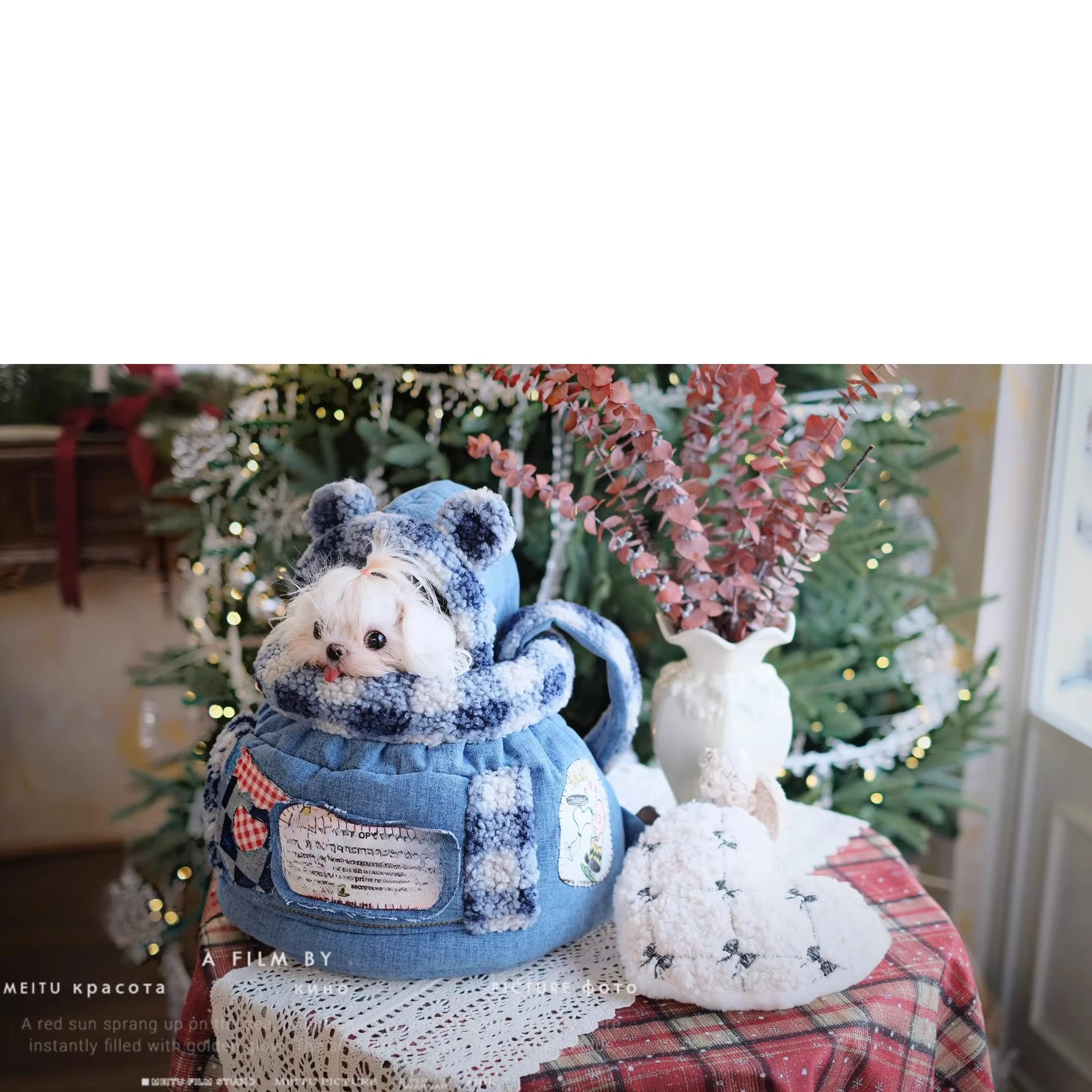26 Luxury Winter Pet Carrier D - đánh giá và giá Luxury Bags Edit