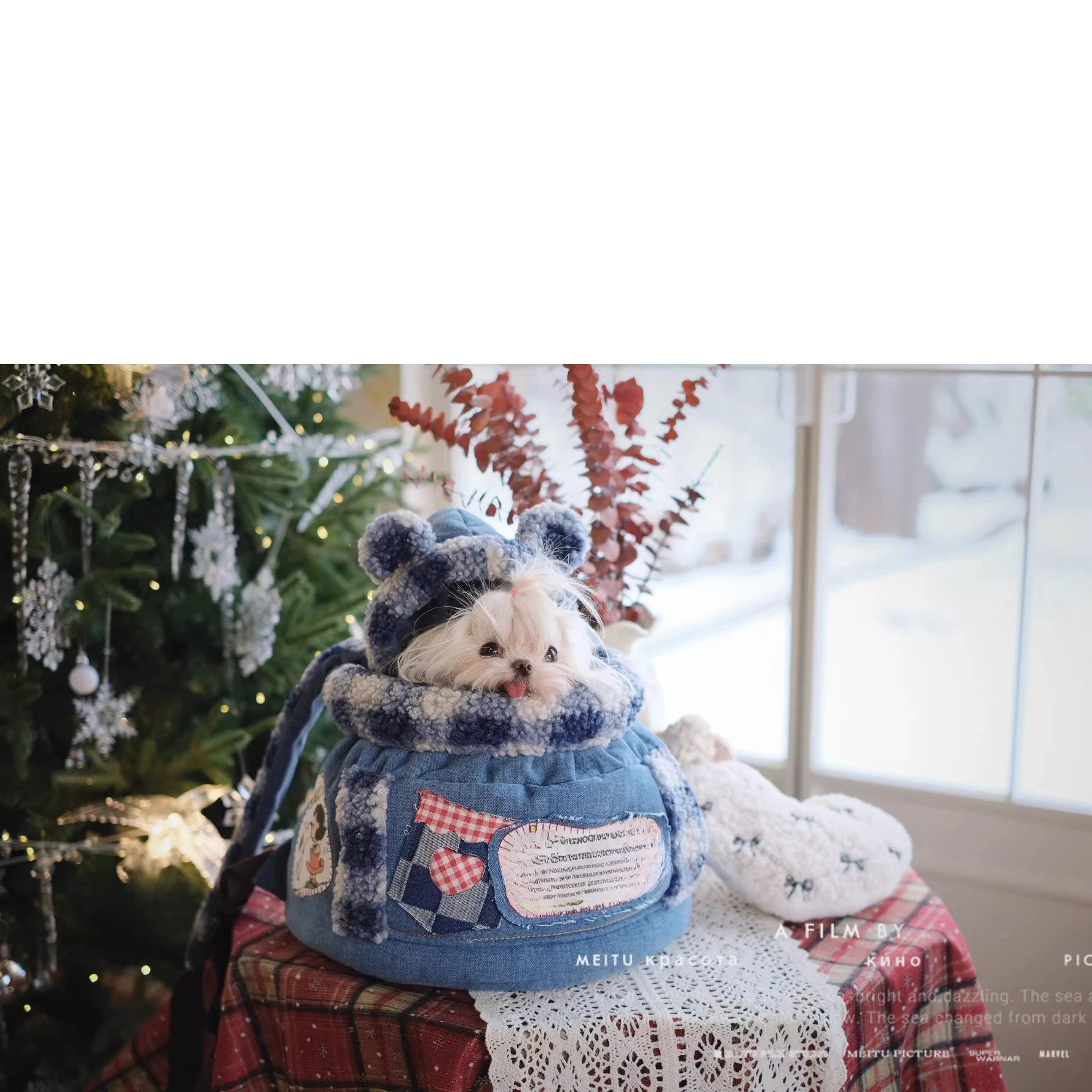 26 Luxury Winter Pet Carrier D - đánh giá và giá Luxury Bags Edit
